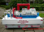 300MW���ֻ�ģ��